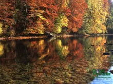 Computer screen wallpaper: Austrian Gmundner Traun