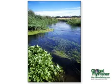 Computer screen wallpaper: Danish streams when they are best