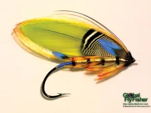 Computer screen wallpaper: Major Traherne's fly Sir Moses