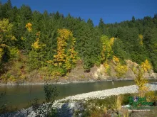 Computer screen wallpaper: Fall fishing on the Vedder in BC.
