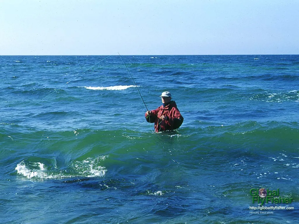 Computer screen wallpaper: More than knee deep