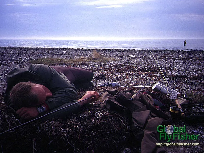 Computer screen wallpaper: Sleeping