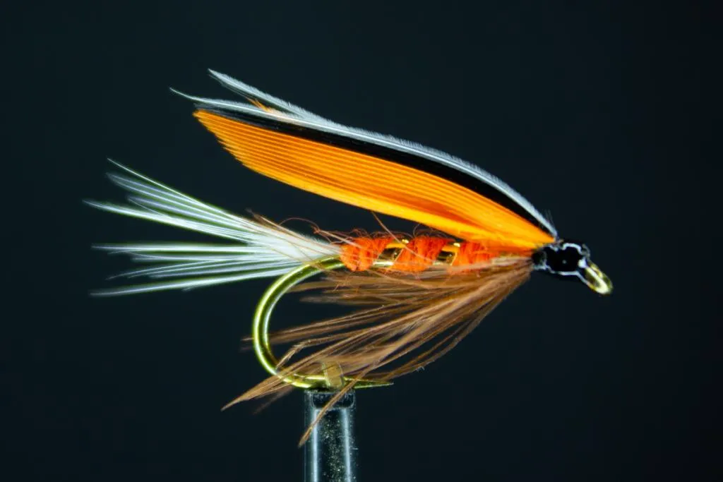 User submitted picture: Fontanalis Fin (Variant)