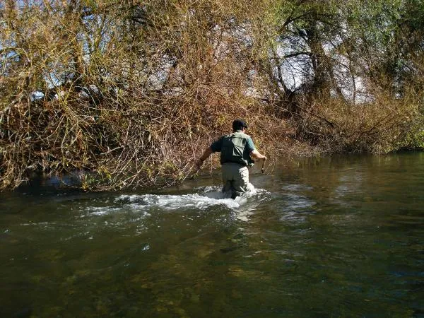 User submitted picture: Wading an arm of rio Chubut