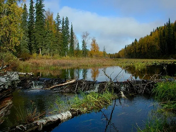 User submitted picture: A short paddle from my ca...