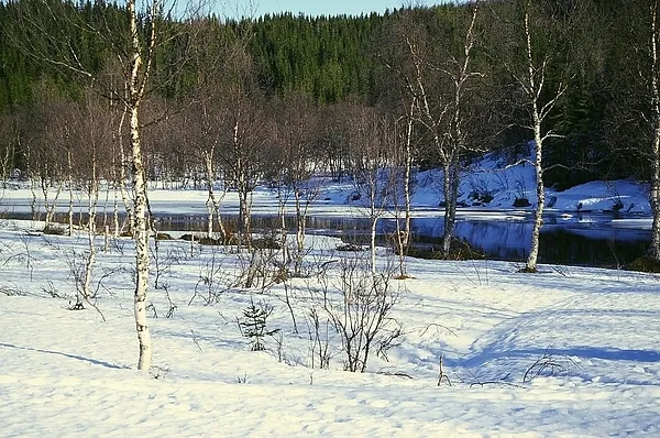 User submitted picture: Winter morning on the riv...