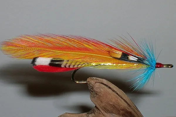 User submitted picture: It's a Wonder