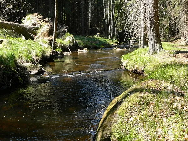 User submitted picture: Hamersky potok. Near bord...