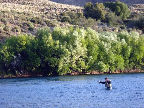 User submitted picture: Rich DeLorenzo (US) at wo...