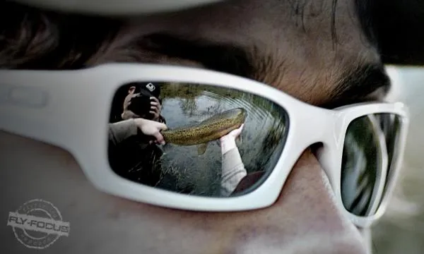 User submitted picture: through the eyes of a fly...