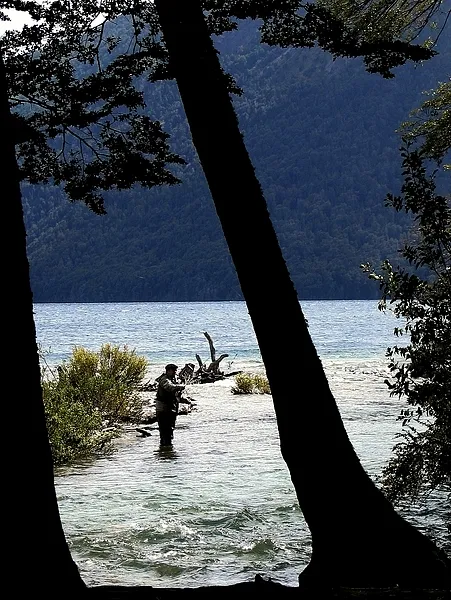 User submitted picture: Patagonia flyfisher