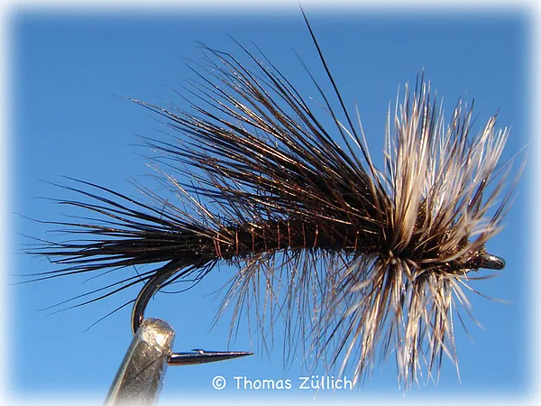 User submitted picture: Kaufmann's Stimulator