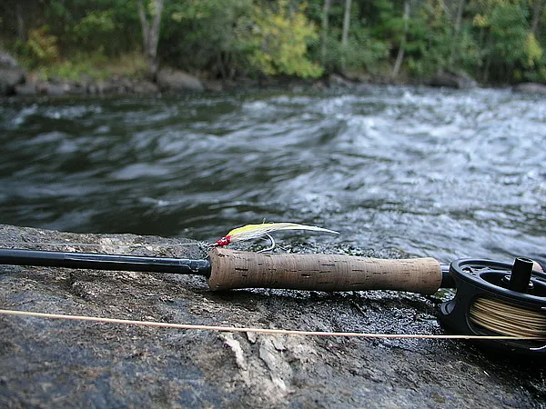 User submitted picture: My musky/nothern/smallmou...