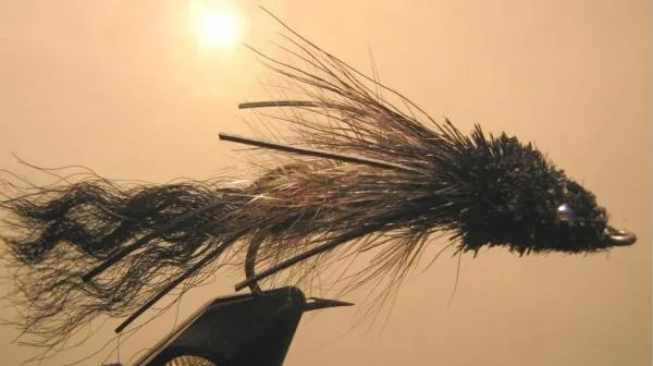 User submitted picture: one fly, a lot of bass......