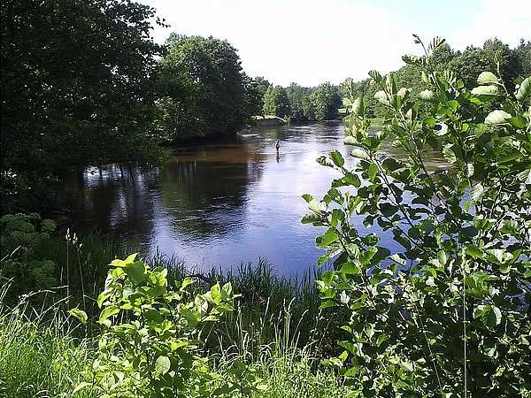 User submitted picture: Ripley had a bad habit of...