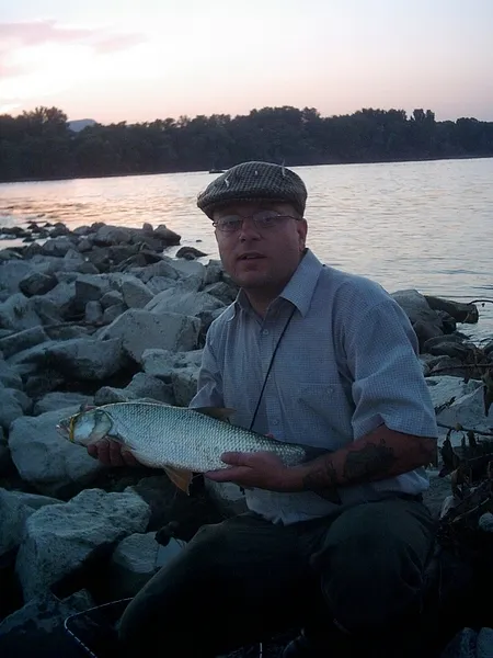 User submitted picture: Pure english....with a ni...