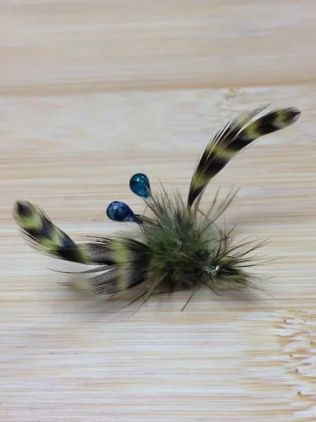 User submitted picture: Blue Eyed Crayfish.  Buil...