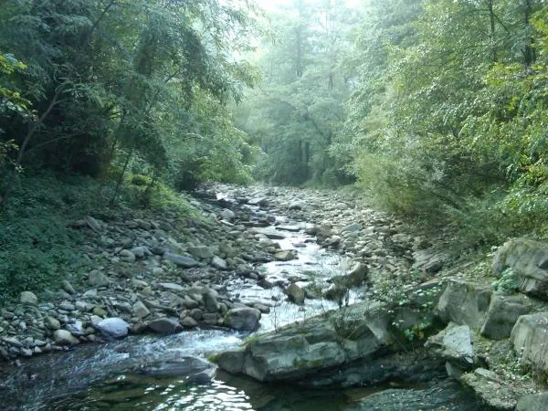 User submitted picture: a little stream named "T...