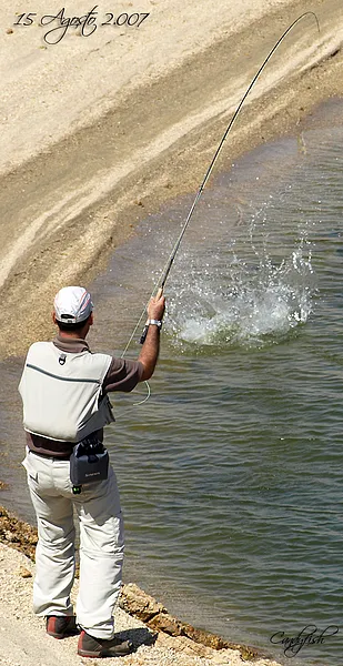 User submitted picture: Barb of AlcÃ¡ntara = force...