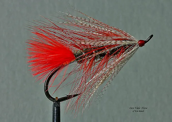 User submitted picture: "Den VÃ¥de HÃ¸ne"
Old Da...