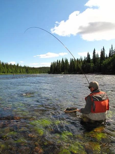 User submitted picture: Fish on by www.guidepeche...