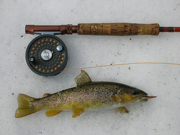 User submitted picture: A Winter Wild Brown Taken...