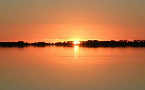 User submitted picture: Time for the big brown tr...