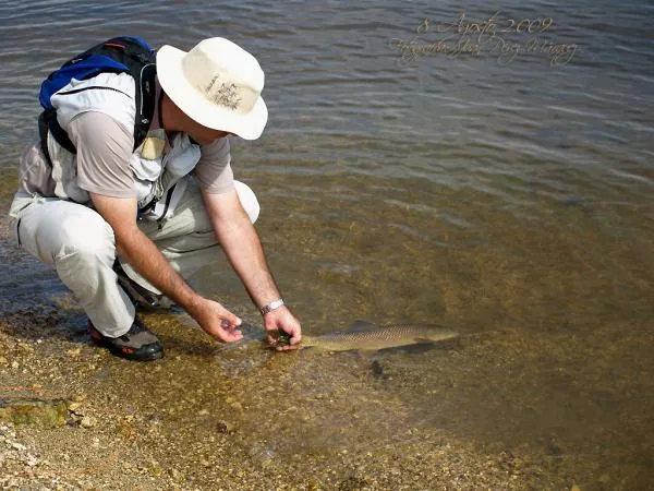 User submitted picture: Good-bye friend