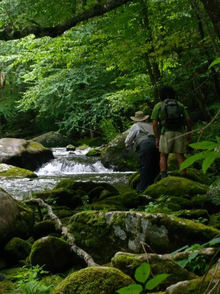 User submitted picture: Little River