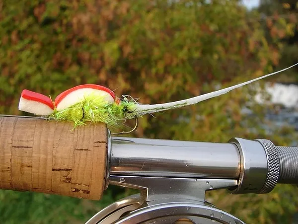 User submitted picture: Gurgler Fly