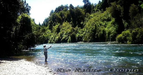 User submitted picture: Casteo en el rio Rahue..