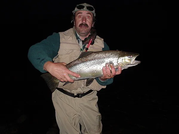 User submitted picture: BROWN TROUT
FISH WITH WI...