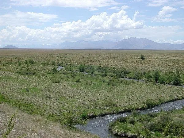 User submitted picture: The banks of the Mary Bur...