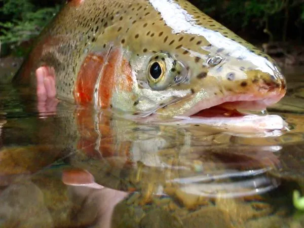 User submitted picture: This beautiful rainbow wa...
