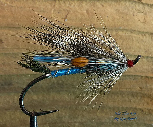 User submitted picture: The Blue Rat