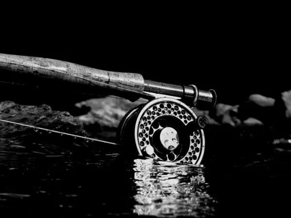 User submitted picture: nice reel ;)