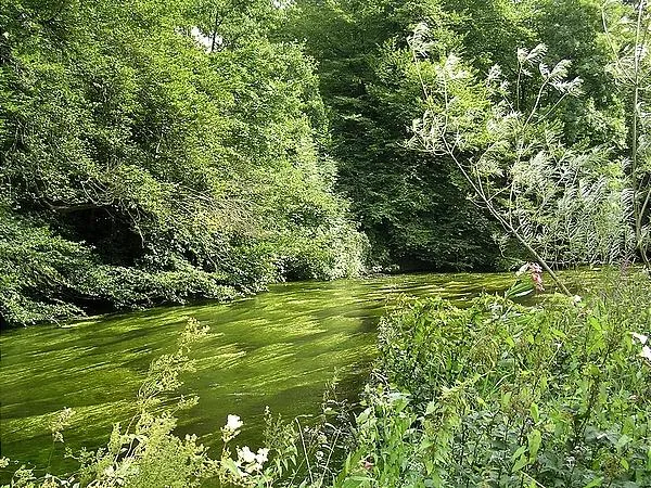 User submitted picture: Green, green, green, ...