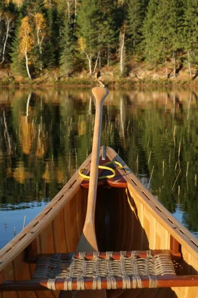 User submitted picture: Do you want this place?