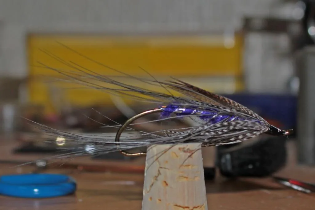 User submitted picture: Purple King Spey