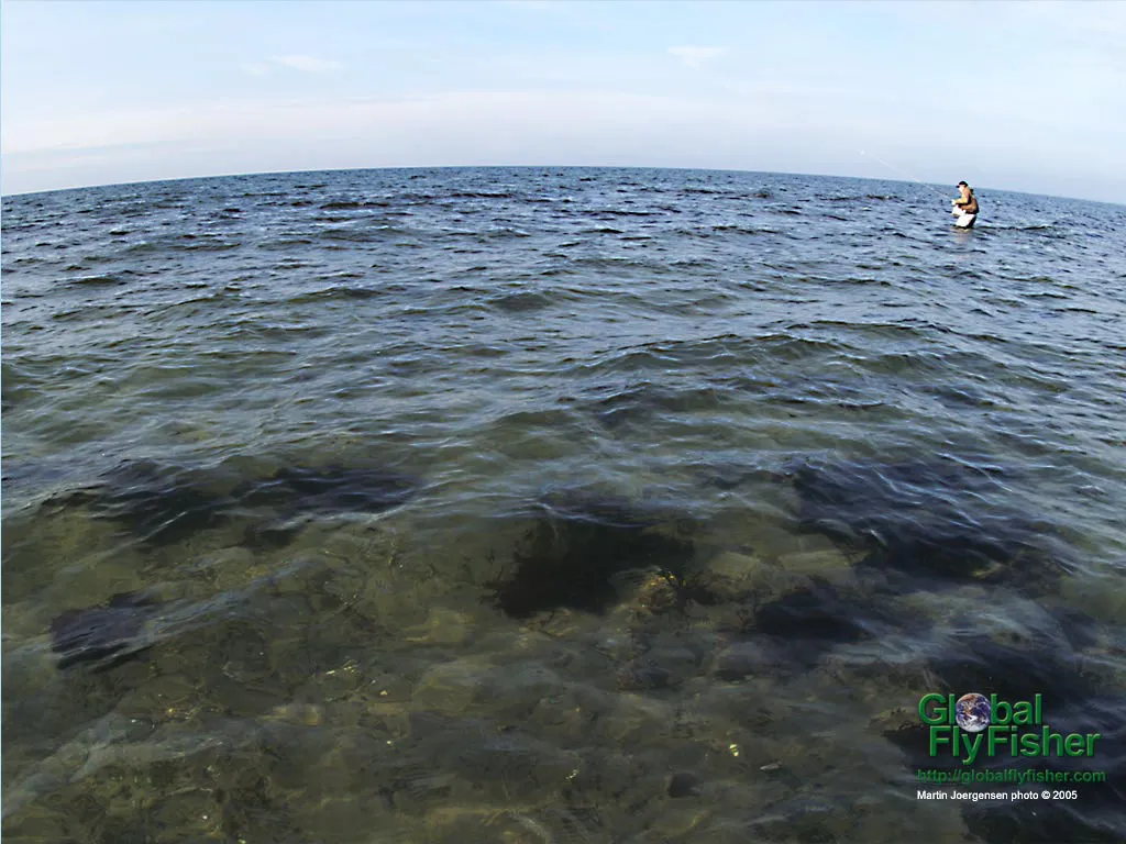 Computer screen wallpaper: The earth IS round.