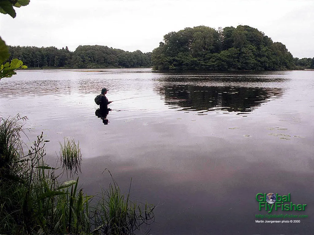 Computer screen wallpaper: Wade fishing for pike in a small lake.