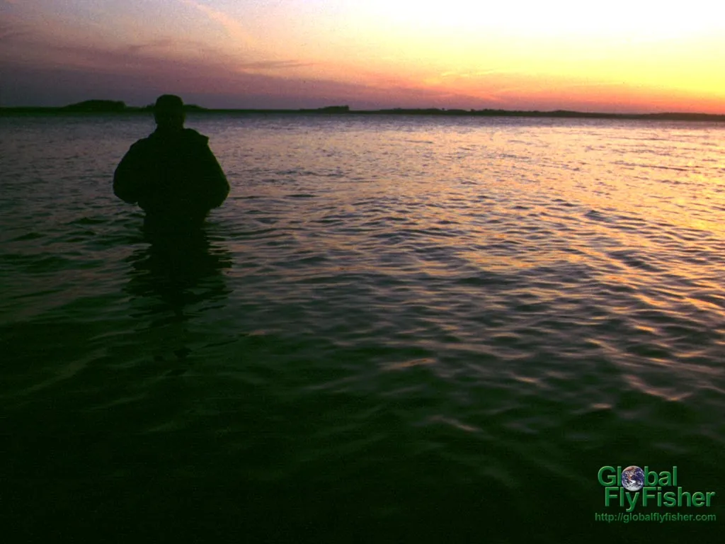 Computer screen wallpaper: Evening fishing on the famous island of Fyn.
